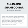 All-in-One Cacao Mochi Shampoo Bar