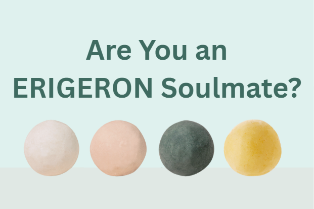 ERIGERON Superfan Test! 💚 Are You Our Kind of Person?