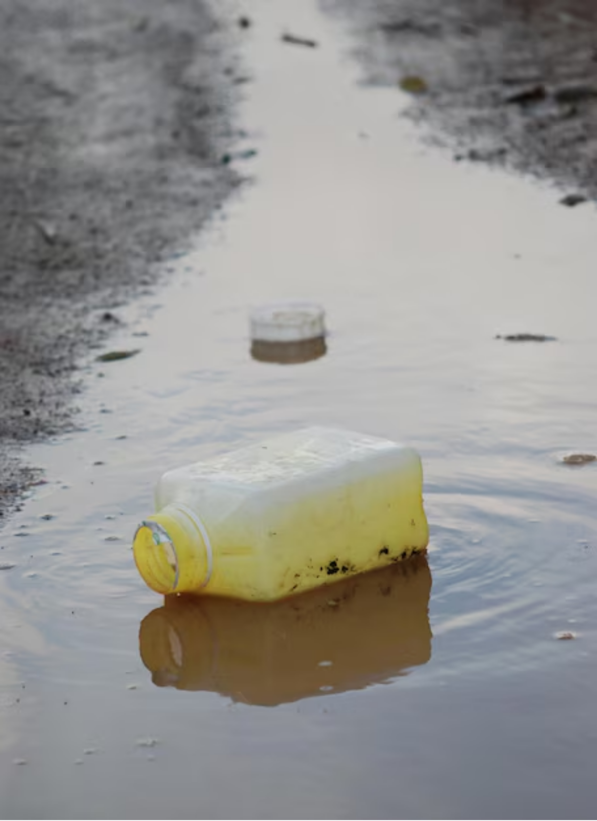 🌿 One Shampoo Bar Can Save 12 Plastic Bottles a Year
