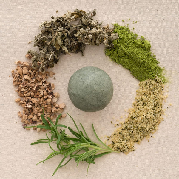 Why Hemp Seed Is a Hero Ingredient for Healthy Scalp & Hair 🌱