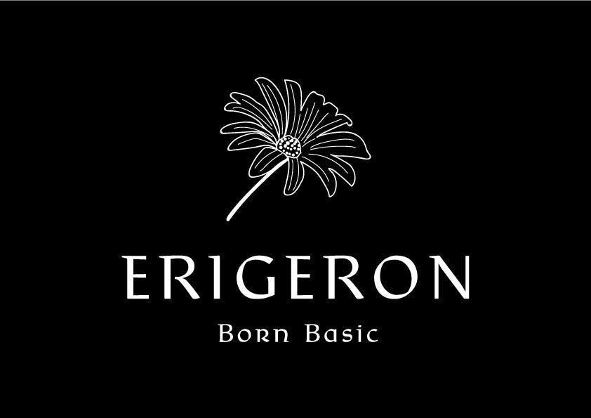 ERIGERON’s Global Path: A Story of Purpose and Passion 🌍