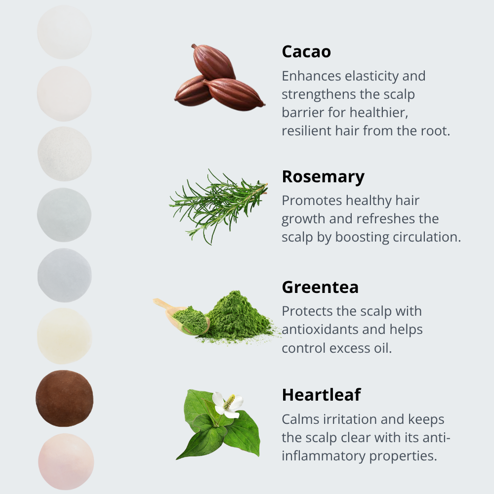 Shampoo Bar Set for Men – Black Charcoal & Cacao