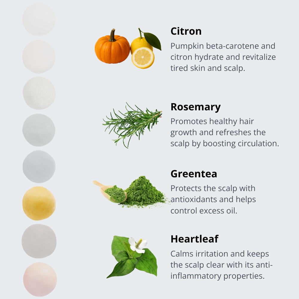 Vegan Beauty Ball Quillaja Citron Ball Pumpkin Shampoo Ball