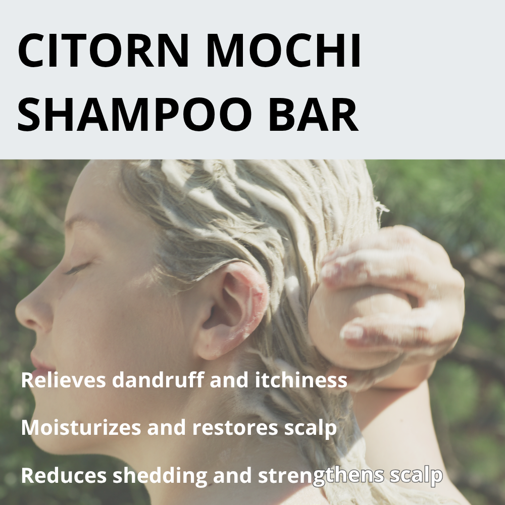 Vegan Beauty Ball Quillaja Citron Ball Pumpkin Shampoo Ball