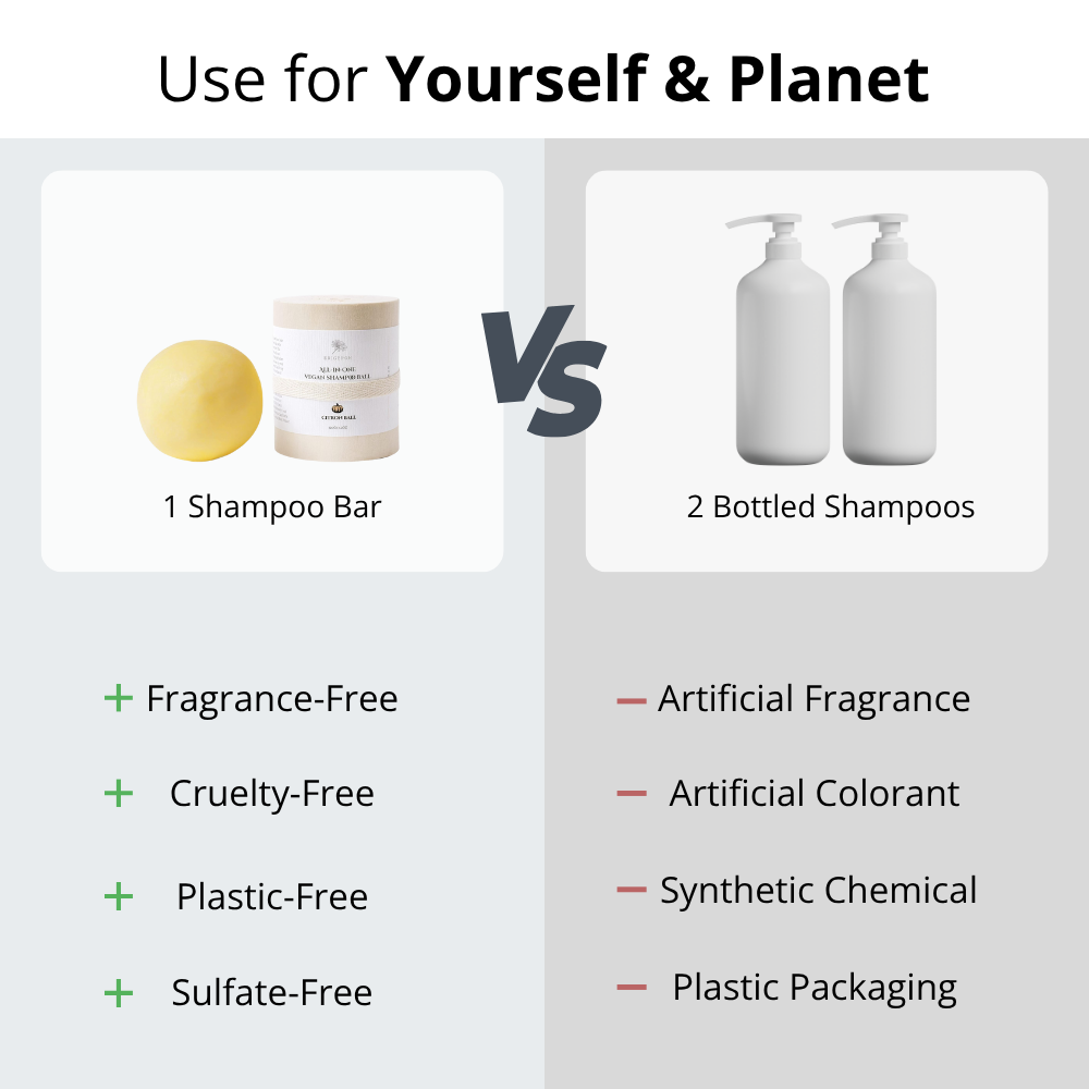 Vegan Beauty Ball Quillaja Citron Ball Pumpkin Shampoo Ball