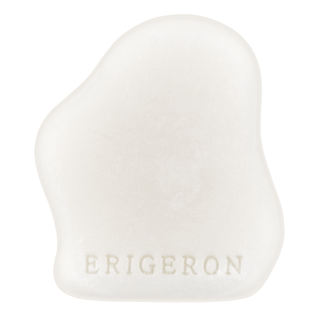 Philofig Solid Hair Treatment Bar - Concentrated Vegan Conditioner for Dry & Damaged Hair